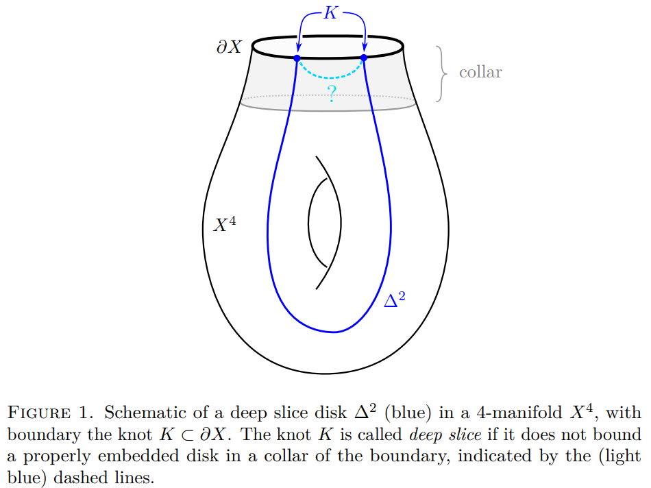 Schematic of a deep slice disk.