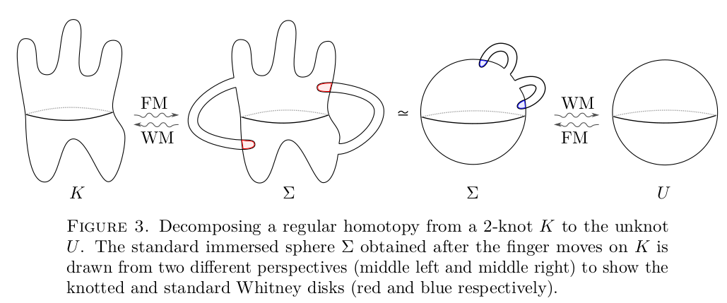 Schematic of a regular homotopy.